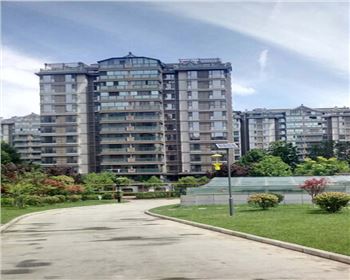 甘肅太陽能殺蟲燈-甘肅省西安市曲江南湖小區(qū)路燈項目