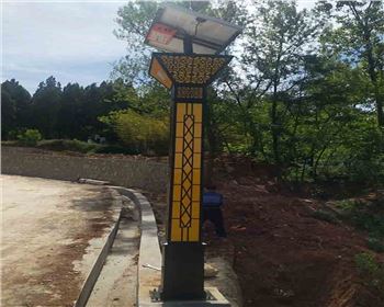 青海商洛洛南景村鎮(zhèn)太陽能景觀燈項目